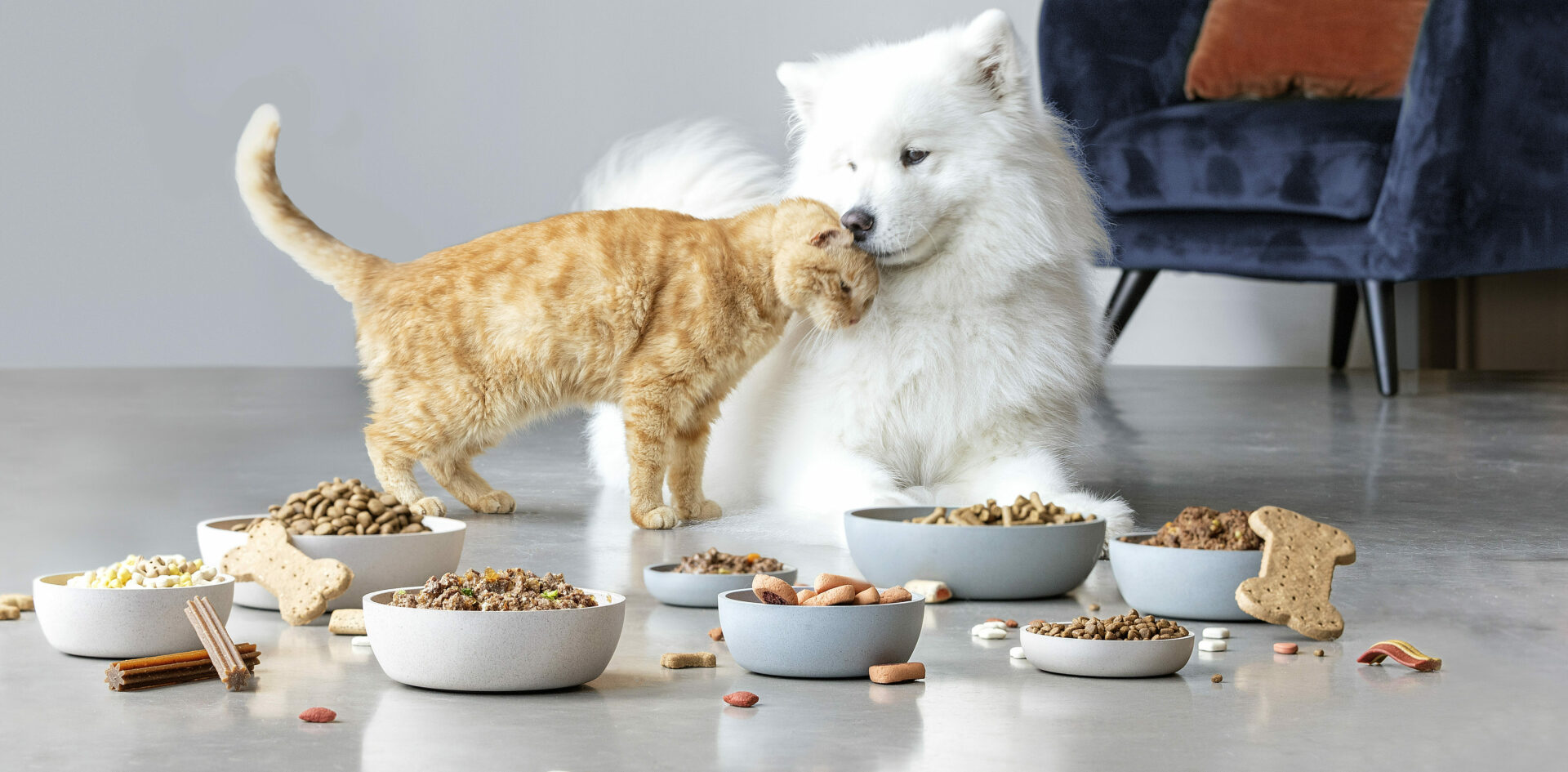 United Petfood - Productor mundial de alimentos para perros y gatos de  calidad