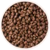 DRY best 2